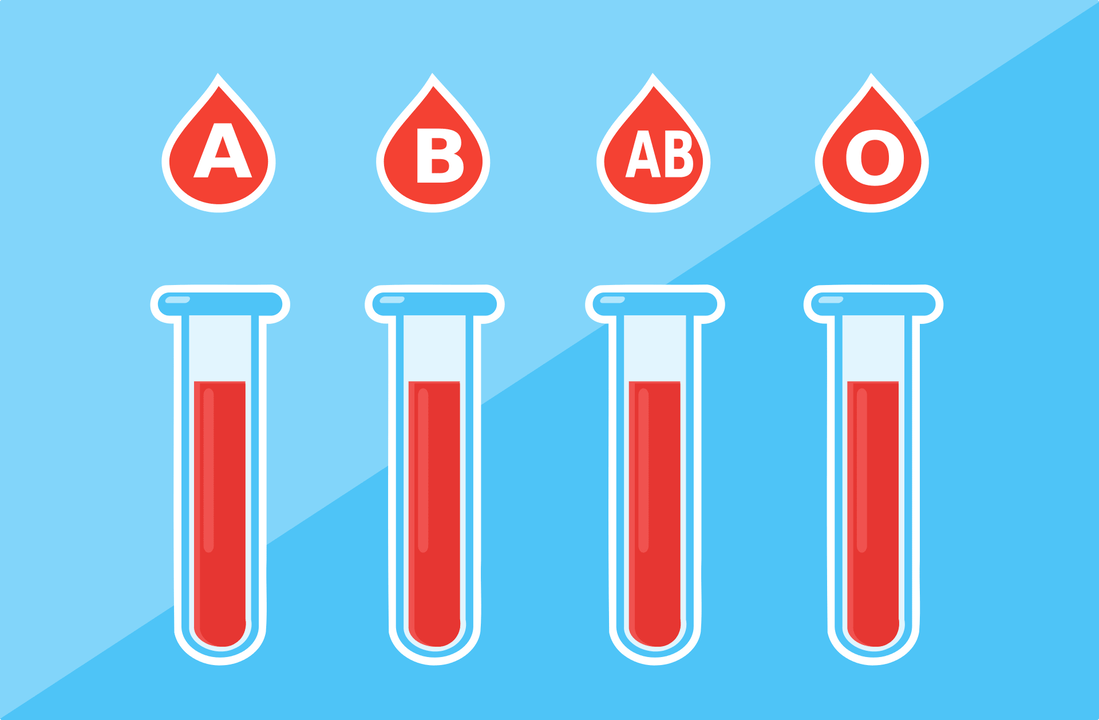 ישנן 4 קבוצות דם - A, B, AB, O